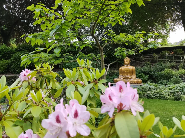 Cascades Gardens