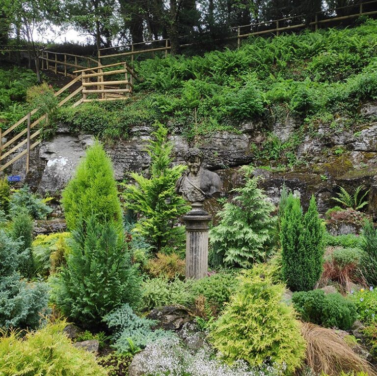 Conifer collection at Cascades Gardens