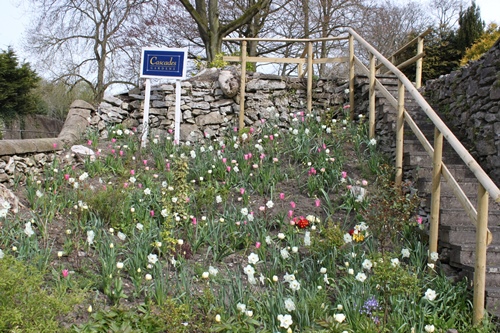 Cascades Gardens. A celebration of nature- beautiful and soothing