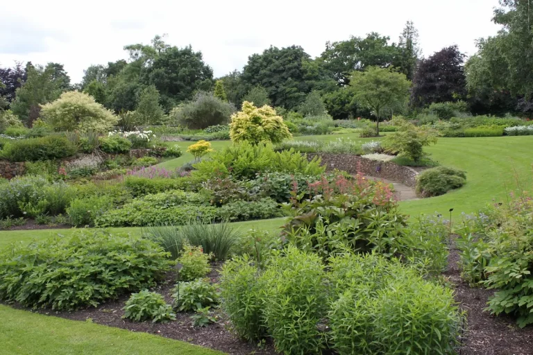Bressingham Dell Garden, Norfolk￼