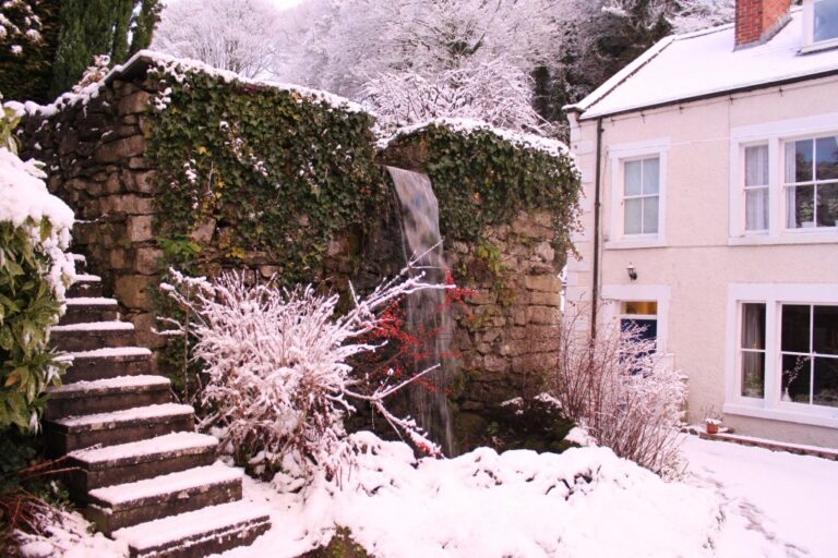 Snow in january 2015